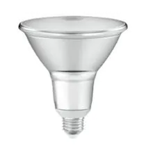 PAR LED Spotlight Bulbs