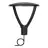 Ledvance LED Streetlight Area Urban Lantern Black 29W 2040lm 145D - 830-840 CCT | IP66 - Symmetrical